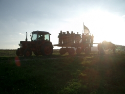K03